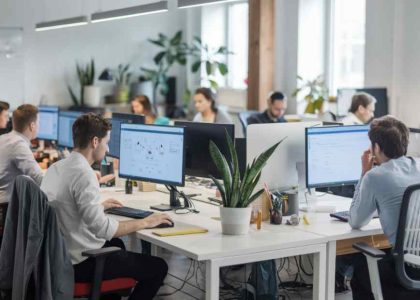 White label web development